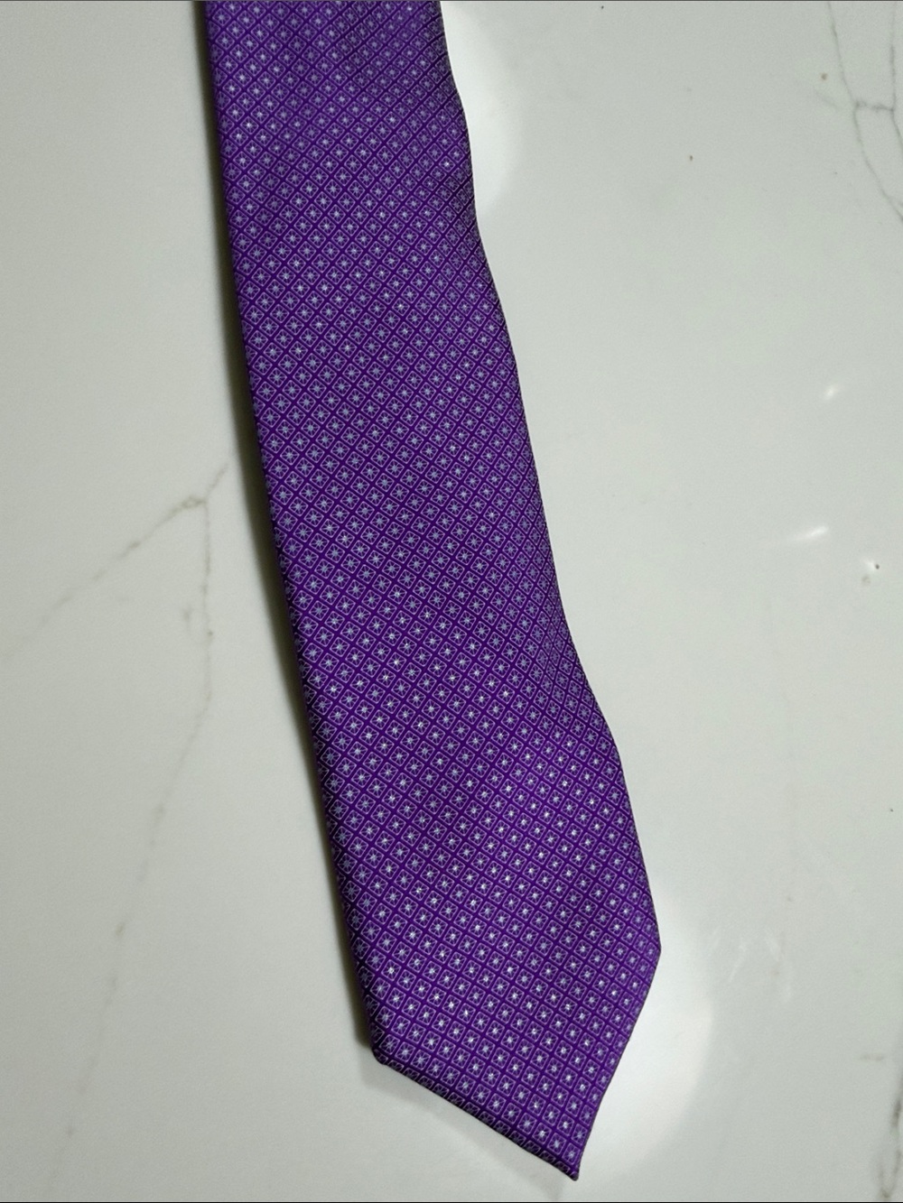 Ermenegildo Zegna Purple Micro-Pattern Silk Tie